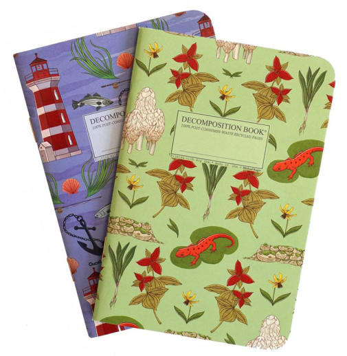 Montauk and Catskills Pocket Decomposition Dot-Grid Book (4" x 6")