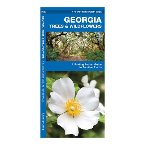 Georgia Trees & Wildflowers
