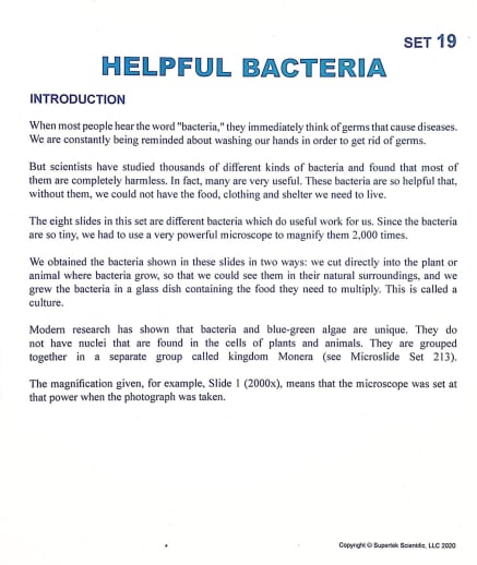 Helpful Bacteria Microslide Lesson Set