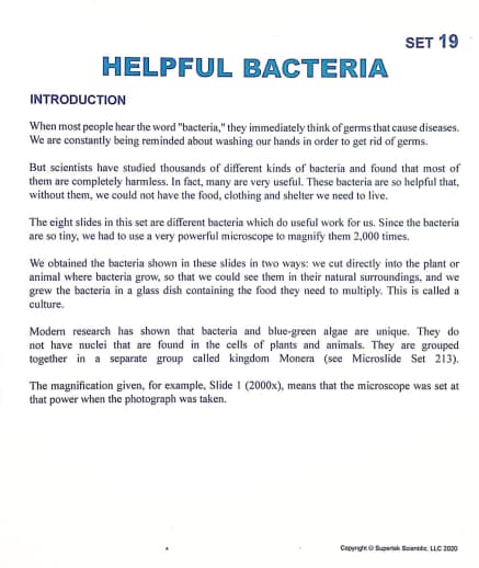 Helpful Bacteria Microslide Lesson Set