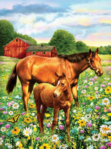 Painting By Numbers - Horse in Field (Junior Small)