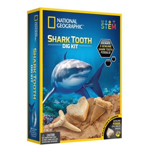 Dig Kit - Shark Tooth Dig Kit (National Geographic)
