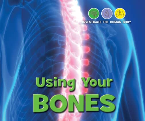 Using Your Bones (Investigate the Human Body)