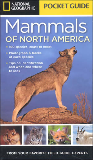 Pocket Guide to the Mammals of North America