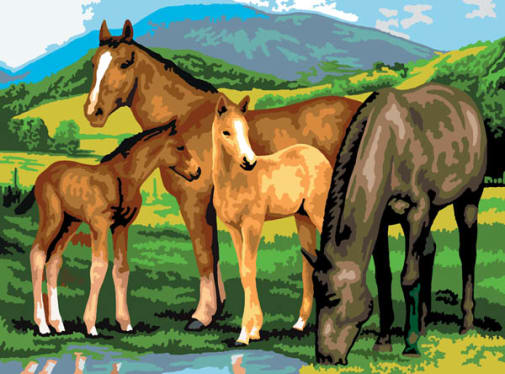 Painting By Numbers - Horses & Foals (Junior Large)