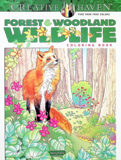 Forest Woodland Wildlife (Creative Haven)