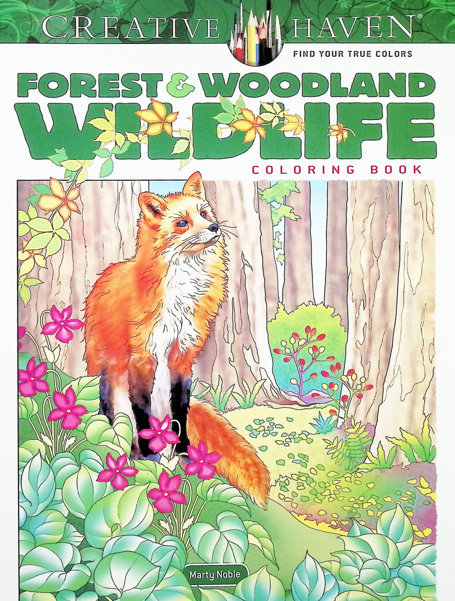 Forest Woodland Wildlife (Creative Haven)