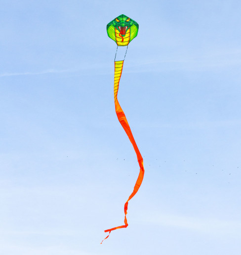 Emerald Cobra Kite 1000 cm / 33' Emerald Cobra Kite 1000 cm / 33'