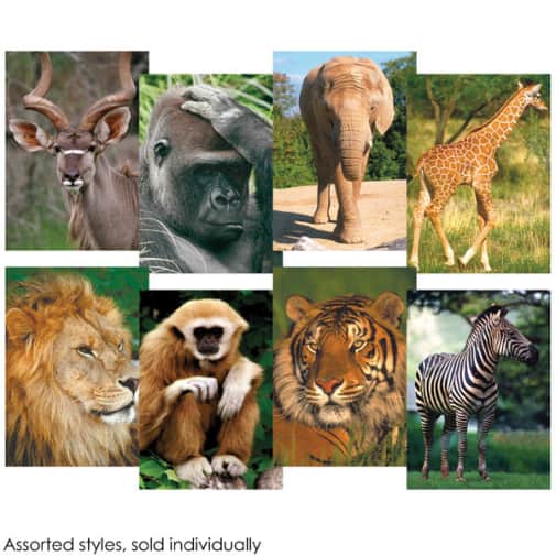 Cobble Hill Wildlife Mini-Puzzle 54 piece - assorted