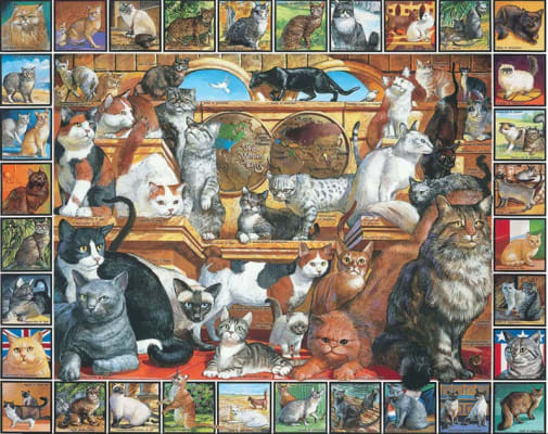 World of Cats Puzzle (1000 Piece)