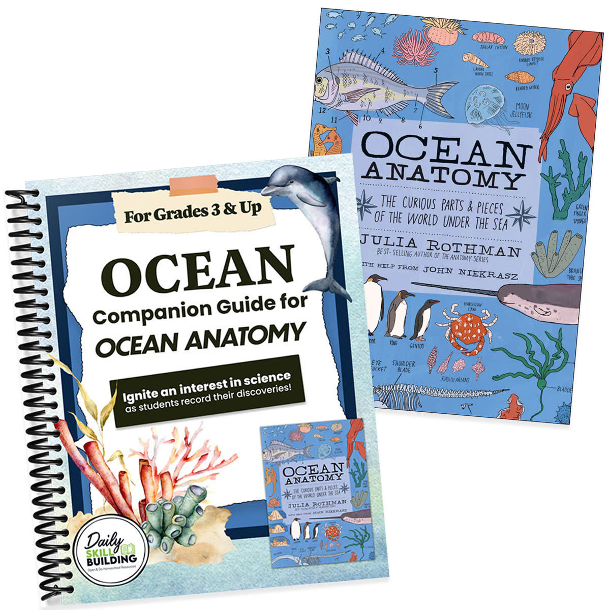 Julia Rothman Ocean Anatomy Notebook Companion Set