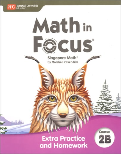 Math in Focus 2020 Extra Practice and Homework Course 2B