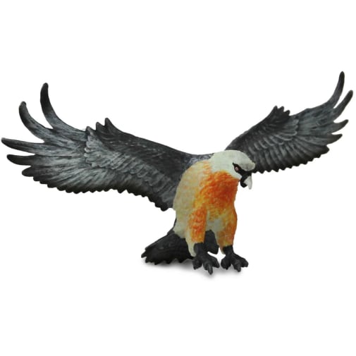 Bearded Vulture (Wings of the World)