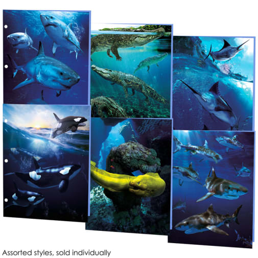Marine Predators Portfolio (Assorted Design)