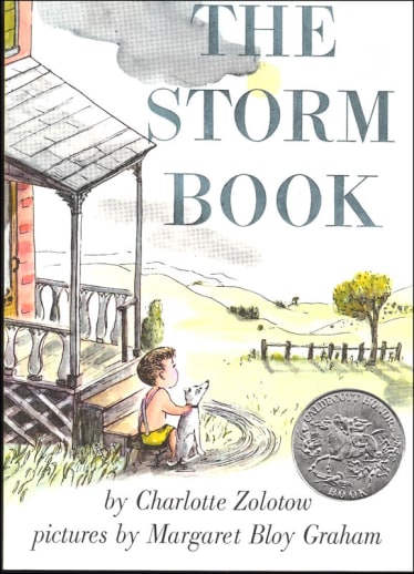 Storm Book