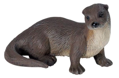 River Otter (North American Wildlife)