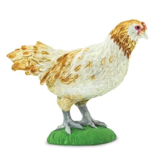 Safari Ameraucana Chicken (Farm Collection)