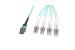 MTP® Female to 4x LC Duplex OM4 Multimode 8-Fiber Breakout Cable, Type B, OFNP, 7m
