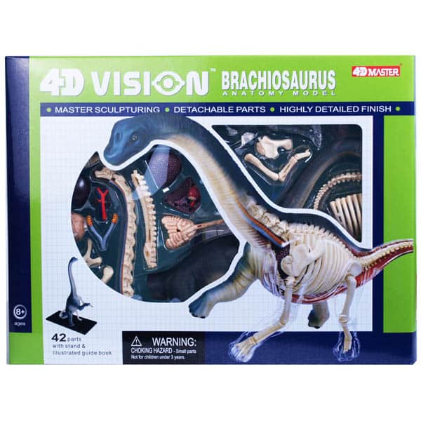4D VISION Brachiosaurus 解剖模型/ブラキオサウルス 4D Vision Brachiosaurus Anatomy Model
