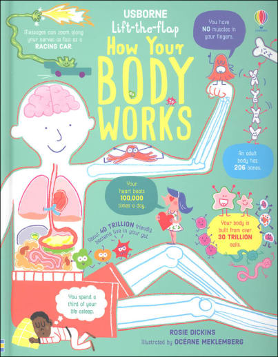 How Your Body Works (Usborne Lift the Flap)