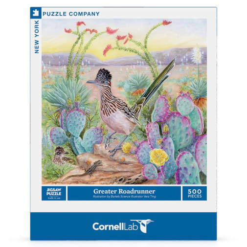 Roadrunner Puzzle (500 Pieces)