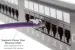 Cat6 Ethernet Patch Cable, Non-Booted, UTP, 5 ft, Purple