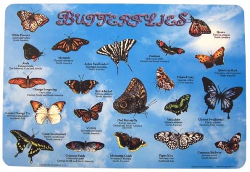 Butterflies Placemat