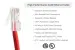 Cat6 Ethernet Patch Cable, Non-Booted, UTP, 7 ft, Red