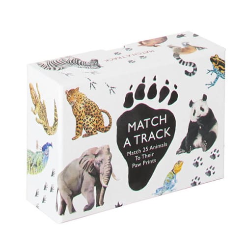 Match a Track Memory Game