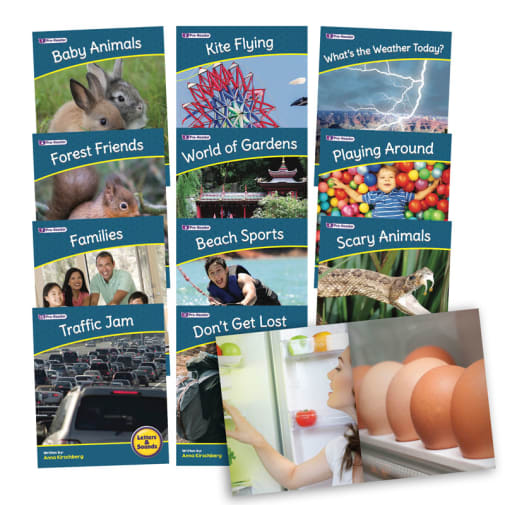 Decodable Readers: Letters & Sounds Phase 1 Set 2 Non-Fiction