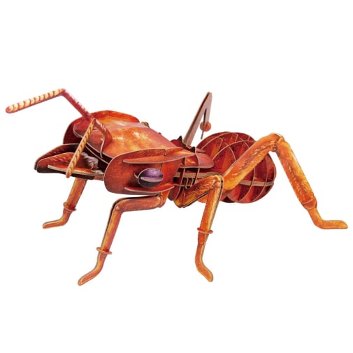 Bring Nature Home - Leafcutting Ant 3D Puzzle (Large)