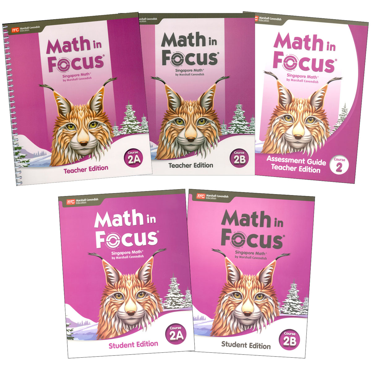 Math in Focus Homeschool Kit, Course 2 (Grade 7; 2020 Edition)