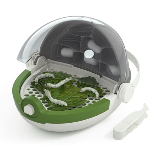 Insects Growth Station