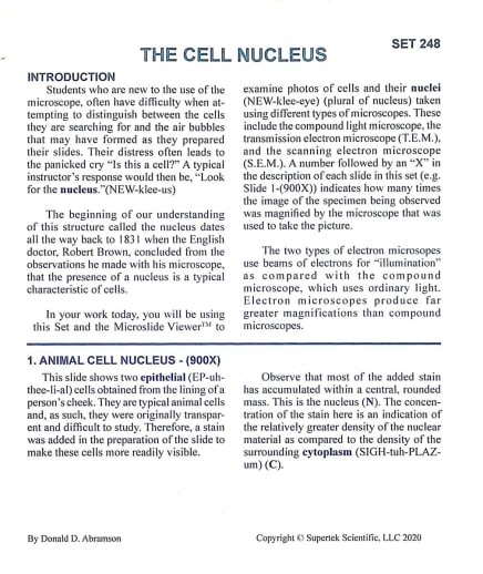 Cell Nucleus Microslide Lesson Set