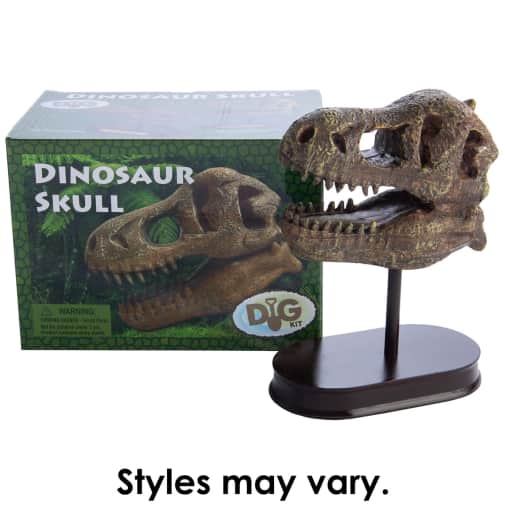 Dinosaur Skull Kit