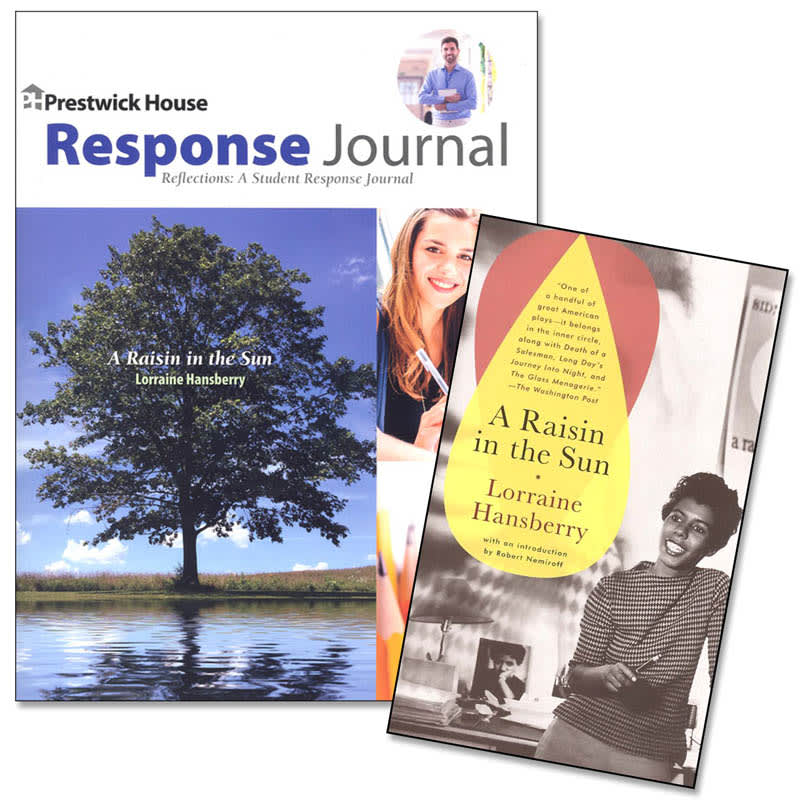 A Raisin in the Sun Reflections Package