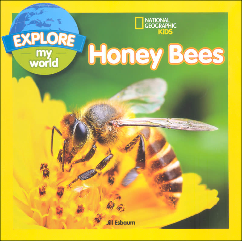 Explore My World Honey Bees