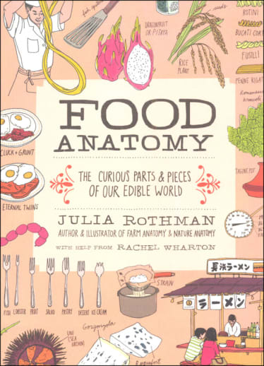 Food Anatomy by Julia Rothman