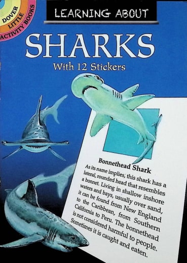Learning About Sharks