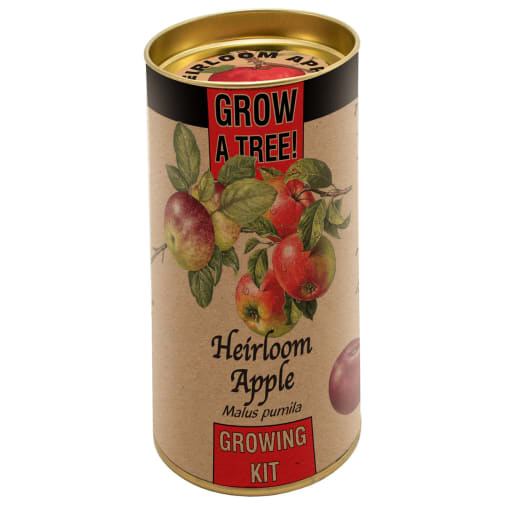 Heirloom Apple Grow-A-Tree Kit