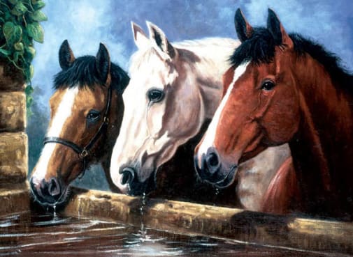 Painting By Numbers - Three of a Kind (Junior Large)