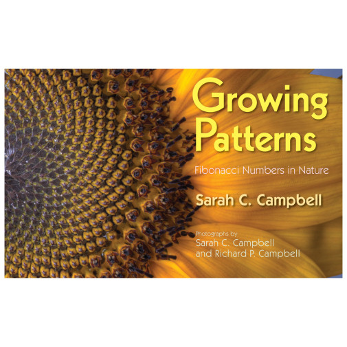 Growing Patterns