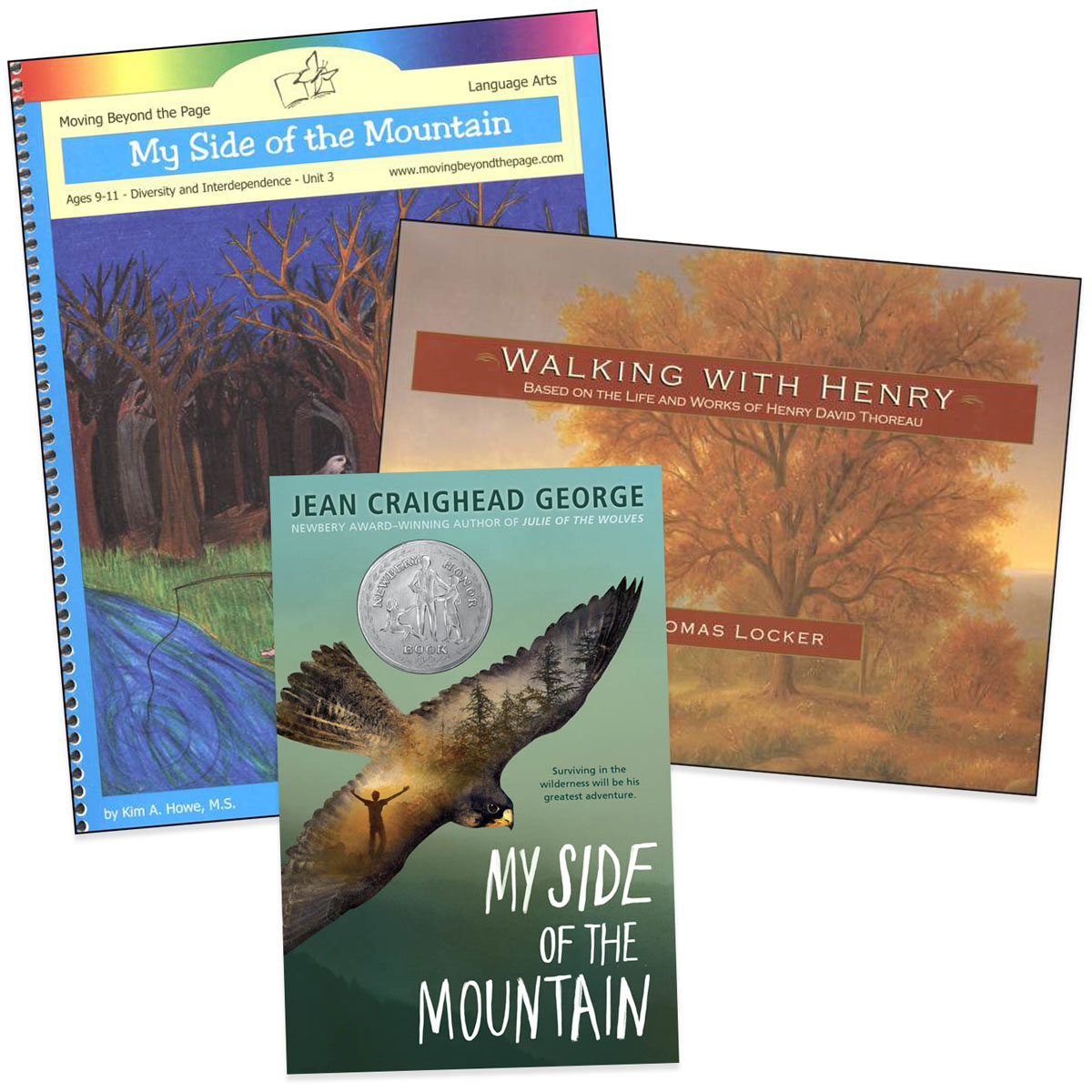 My Side of the Mountain Literature Unit Package