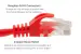 Cat5e Ethernet Patch Cable, Snagless, UTP, 1 ft, Red
