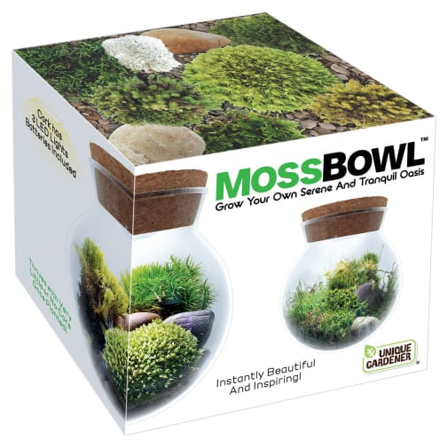 MossBowl (Glass Terrariums)