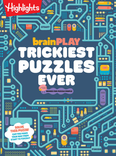 brainPlay Tickiest Puzzles Ever
