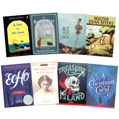 Lightning Literature and Composition Level Tempest Literature Only