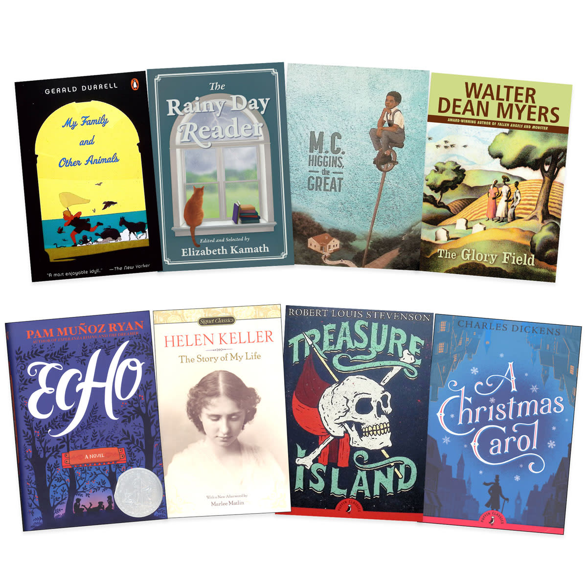 Lightning Literature and Composition Level Tempest Literature Only