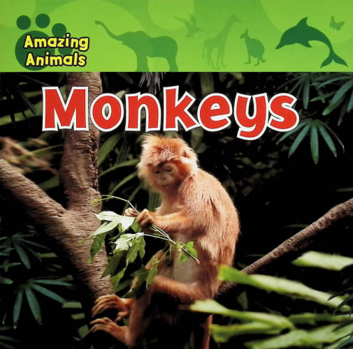 Amazing Animals: Monkeys