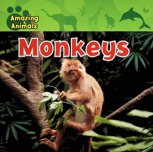 Amazing Animals: Monkeys
